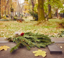 Ta gałązka na grobie symbolizuje wybaczenie. Zadziała lepiej niż stroik na Wszystkich świętych