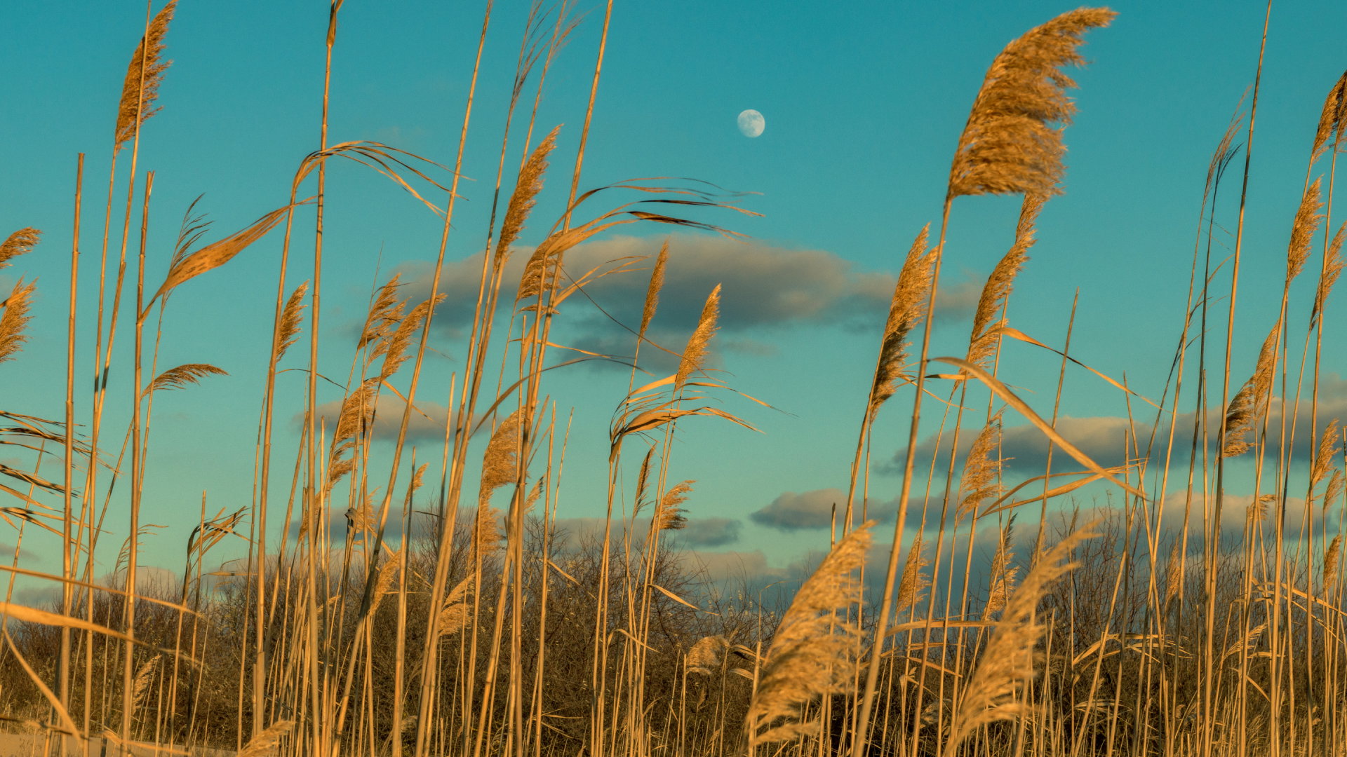 Kosmiczna kumulacja 3 i 4 listopada 2023