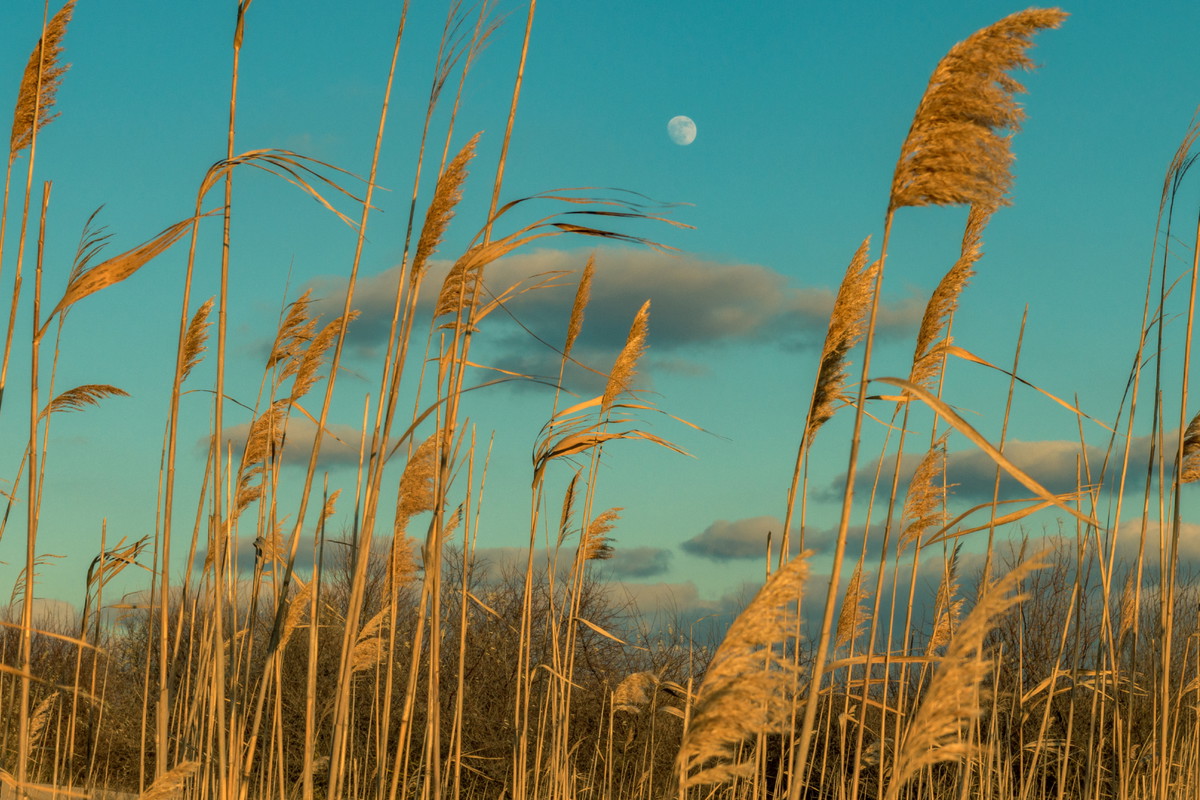 Kosmiczna kumulacja 3 i 4 listopada 2023