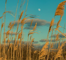 Kosmiczna kumulacja 3 i 4 listopada 2023