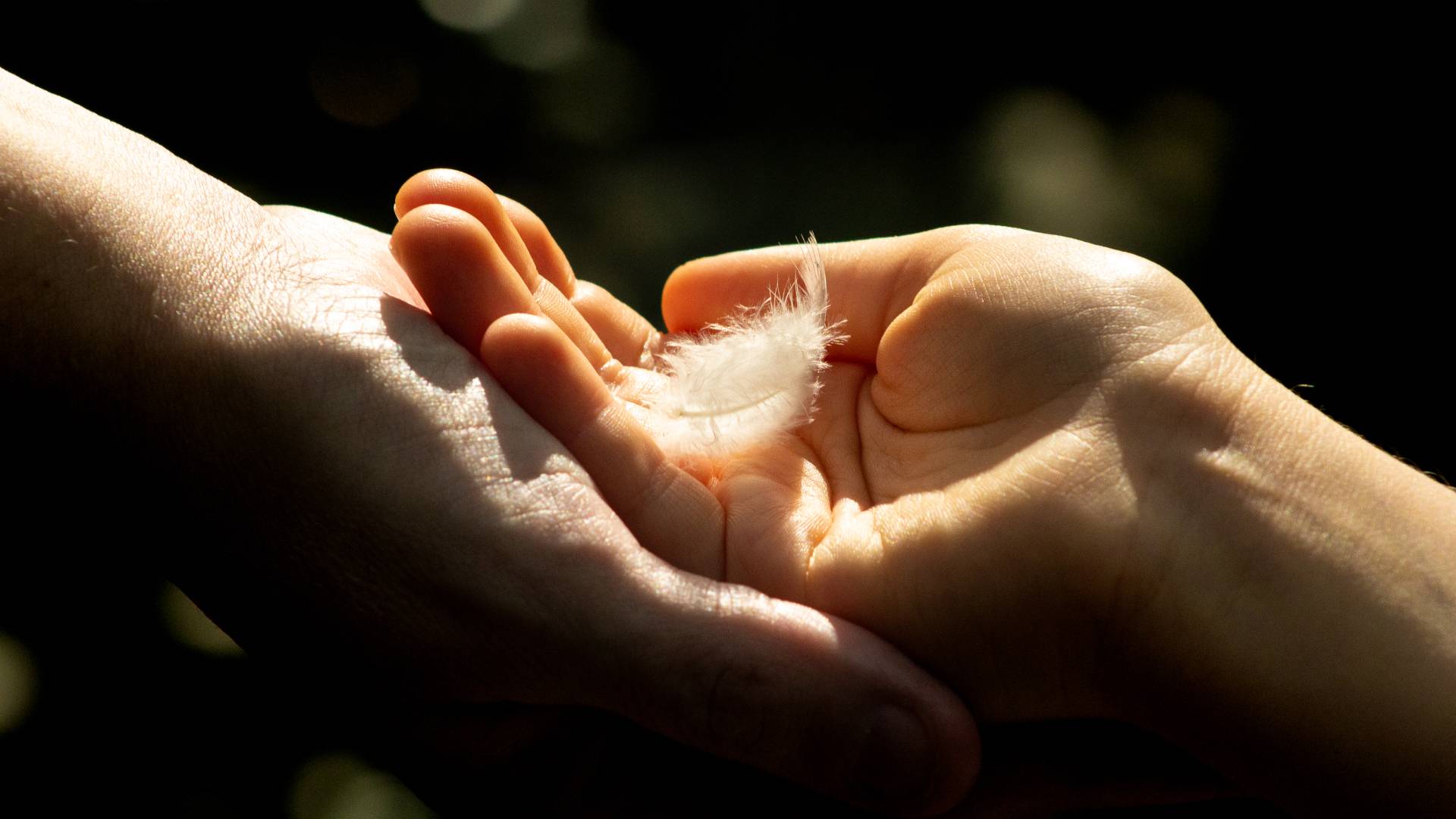 3 znaki zodiaku, które w listopadzie dotknie ręka anioła GettyImages Gary Burfield-Wallis