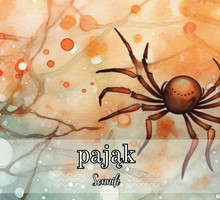 sennik pająk