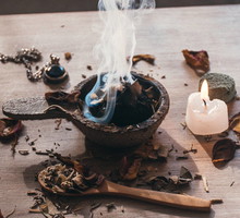 Sasafras przyciąga energię Jowisza i wzmacnia kobiecość. Ale jest 1 mały haczyk GettyImages Wirestock