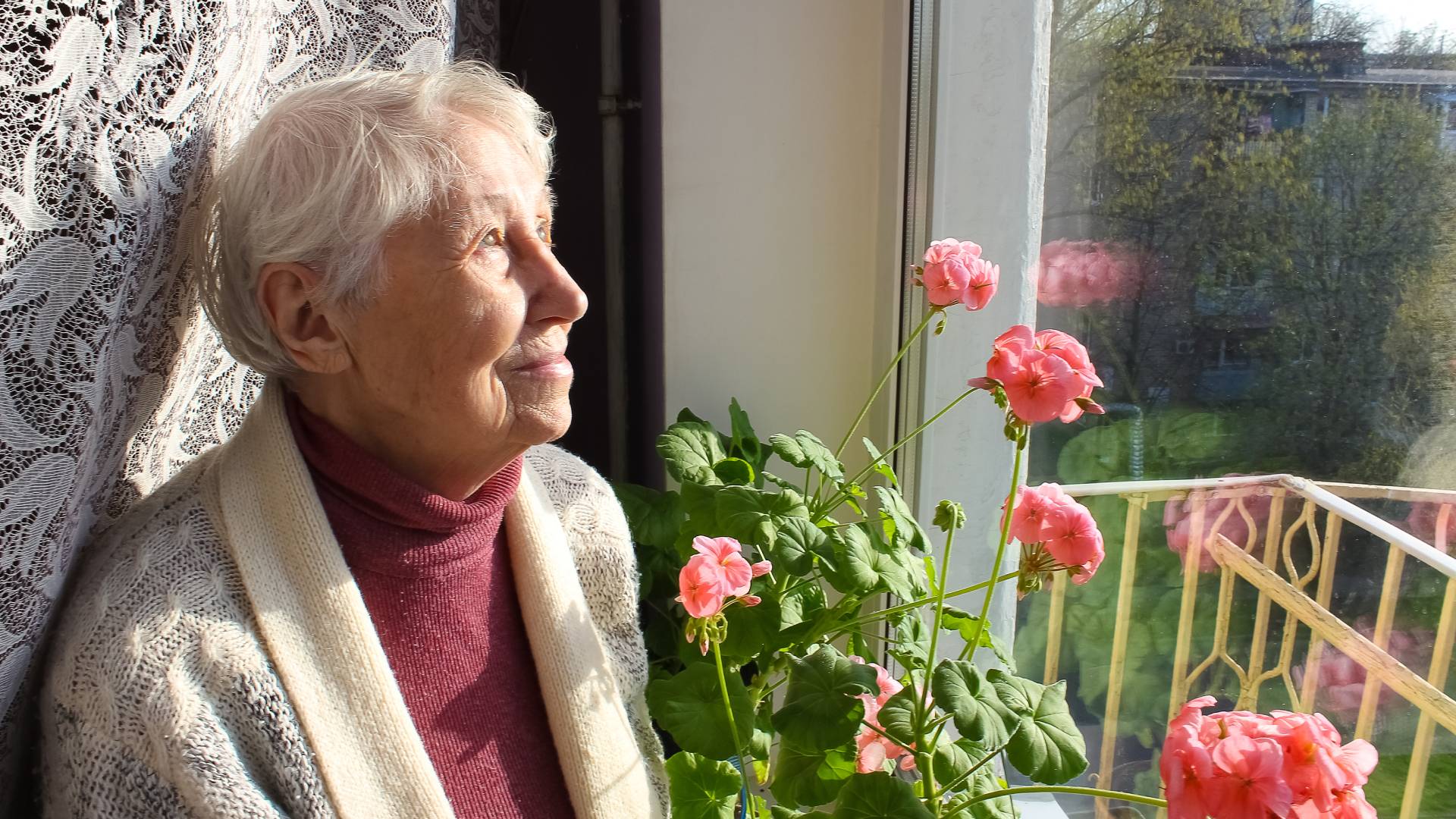 Geranium wnosi do domu szczęście i bogactwo. Ale musi stać w tym 1 miejscu GettyImages Marina113