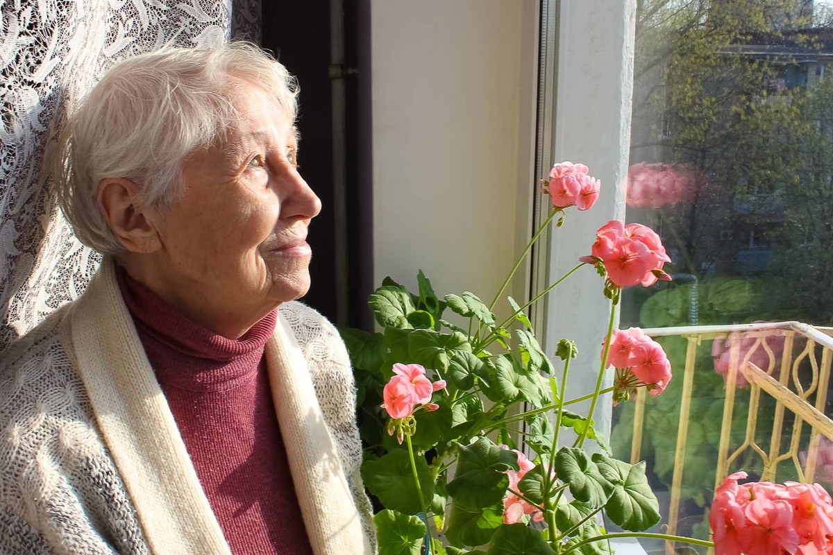 Geranium wnosi do domu szczęście i bogactwo. Ale musi stać w tym 1 miejscu GettyImages Marina113