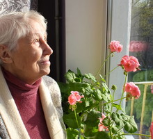 Geranium wnosi do domu szczęście i bogactwo. Ale musi stać w tym 1 miejscu GettyImages Marina113
