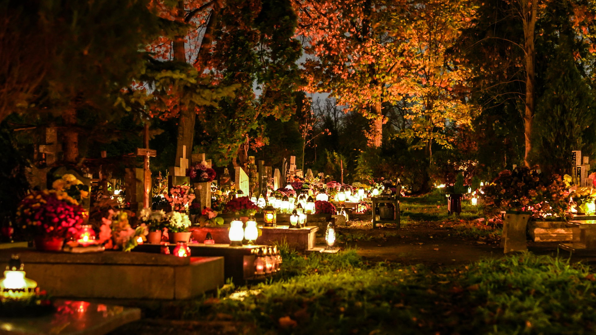 Jaki kolor zniczy jest pechowy? Tego nie wybieraj na cmentarz, jeśli nie chcesz zaszkodzić duszom zmarłych