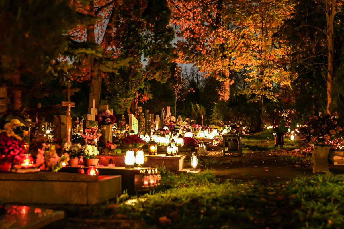 Jaki kolor zniczy jest pechowy? Tego nie wybieraj na cmentarz, jeśli nie chcesz zaszkodzić duszom zmarłych