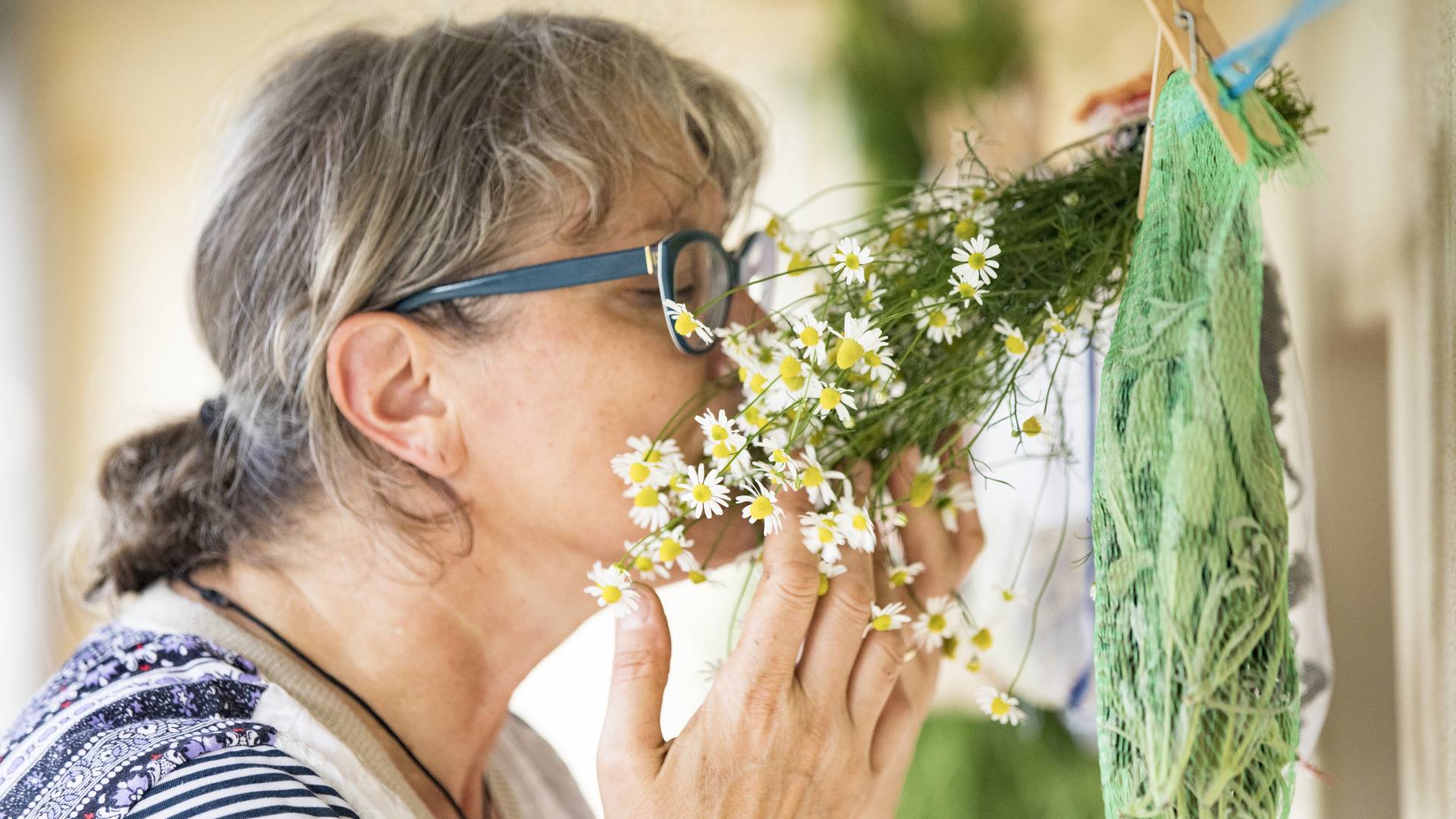 Rumianek na pokój w rodzinie działa cuda. Ma też inne, dobre właściwości GettyImages kmatija