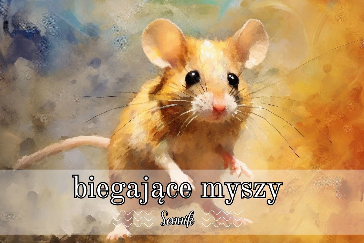 Sennik biegające myszy