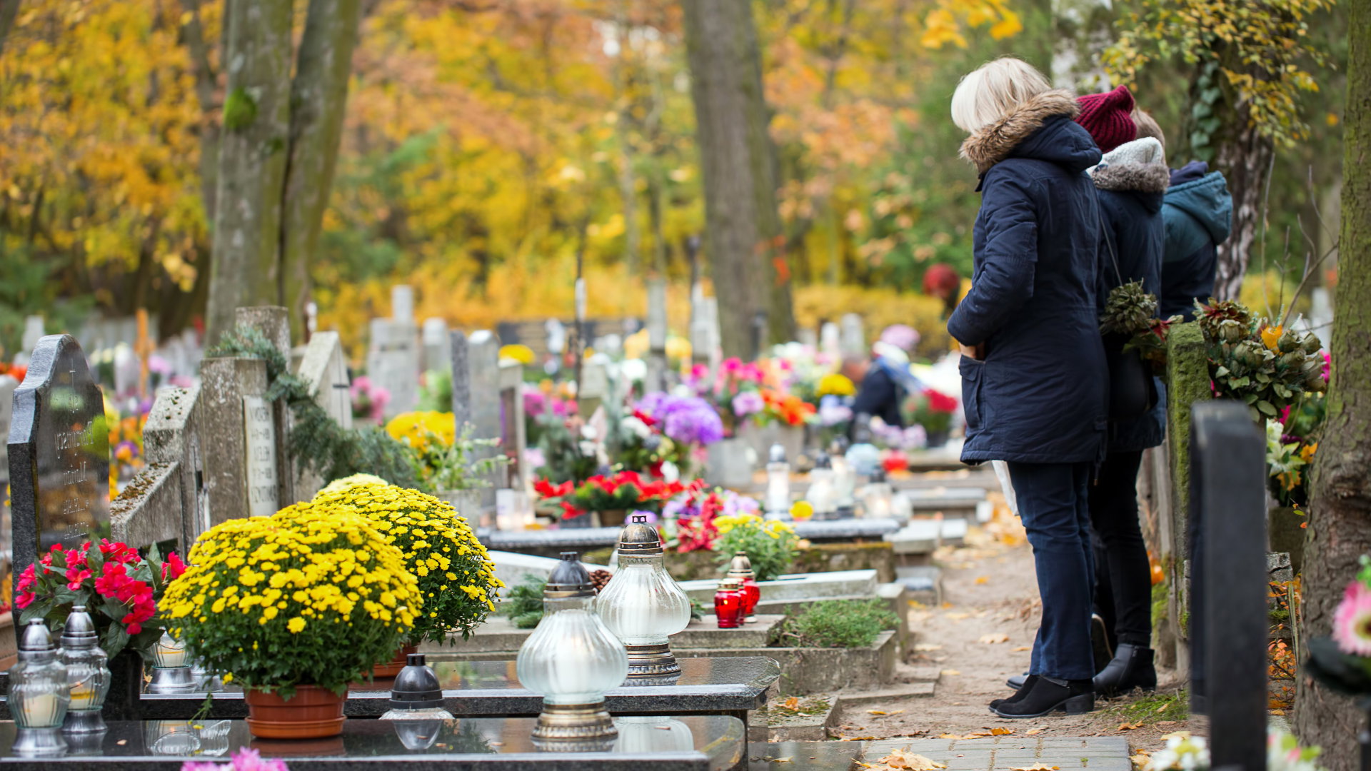 Jakich kwiatów nie kupować na cmentarz? Jeśli te położysz na grobie, ściągniesz na siebie pecha