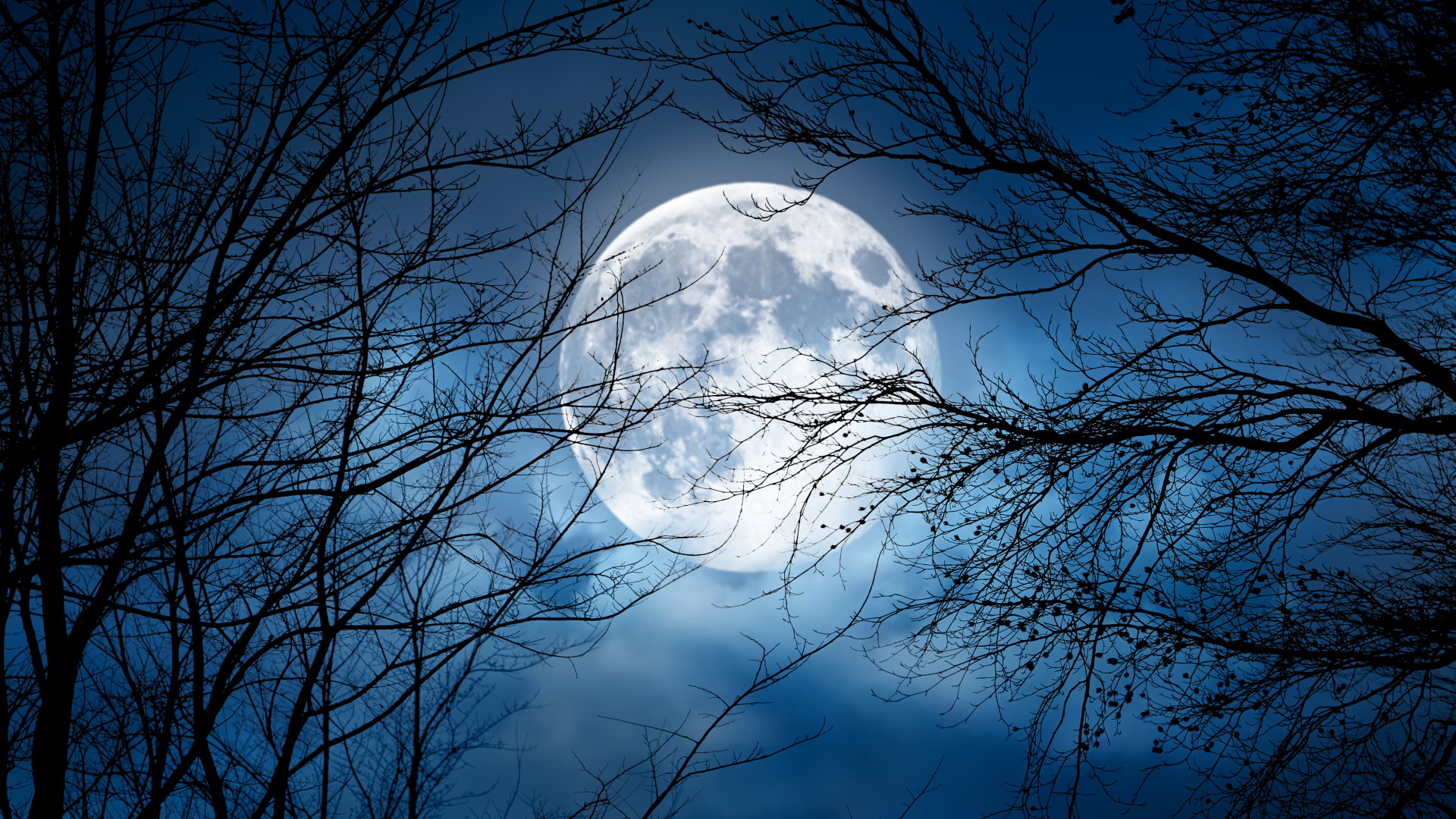 Tygodniowa prognoza astrologiczna 23-29 października 2023