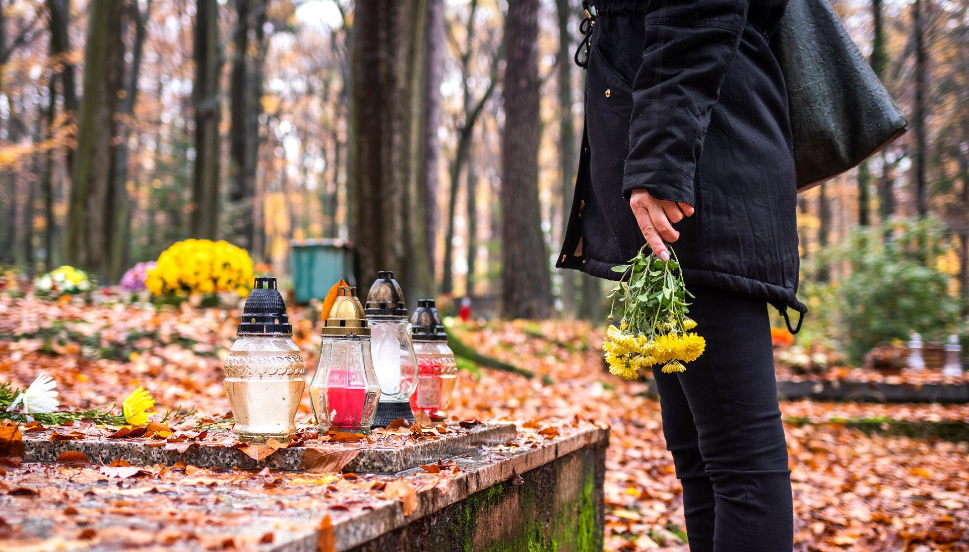 Nie zostawiaj tych kwiatów na grobie. Działają na szkodę nie tylko we Wszystkich Świętych
