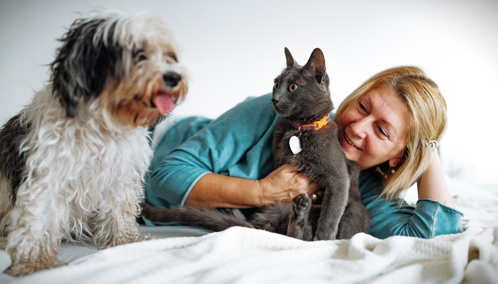 22 października kot przynosi szczęście