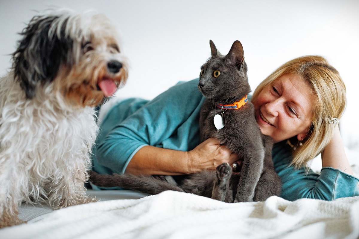 22 października kot przynosi szczęście