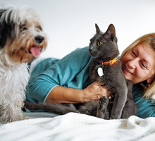 22 października kot przynosi szczęście