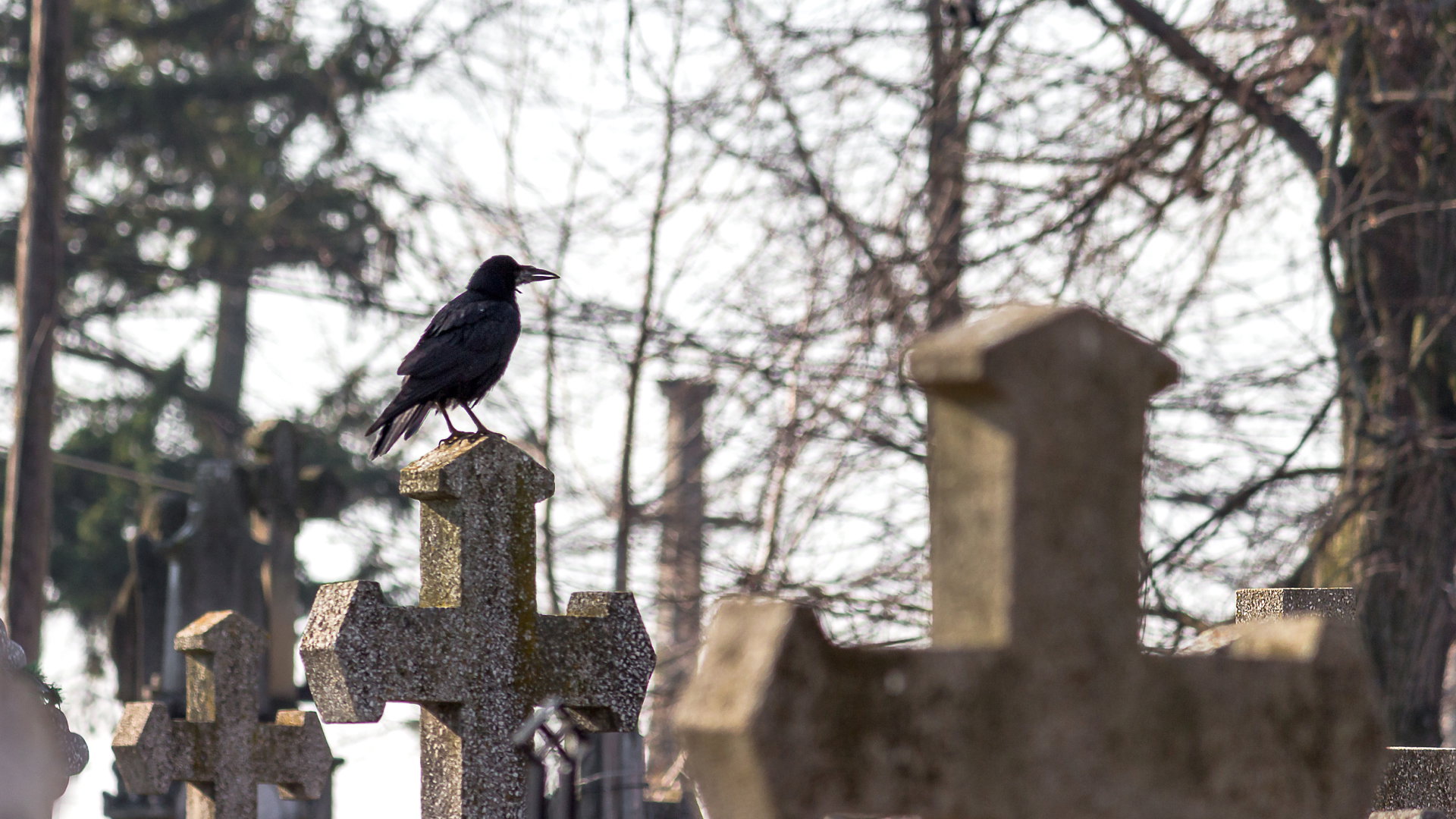 Ten znak na cmentarzu to bardzo zły omen. Jeśli go zobaczysz, zachowaj ostrożność