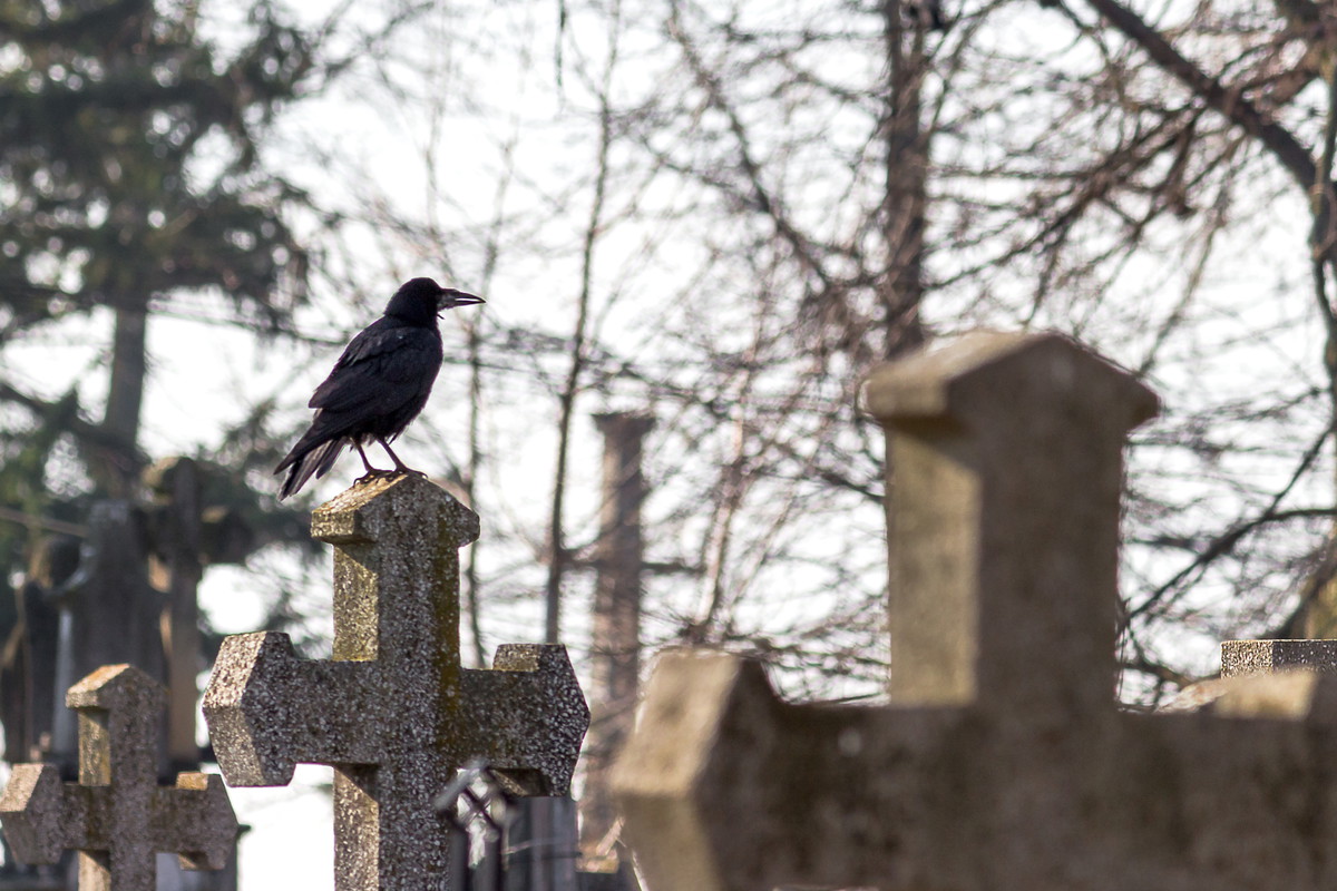 Ten znak na cmentarzu to bardzo zły omen. Jeśli go zobaczysz, zachowaj ostrożność