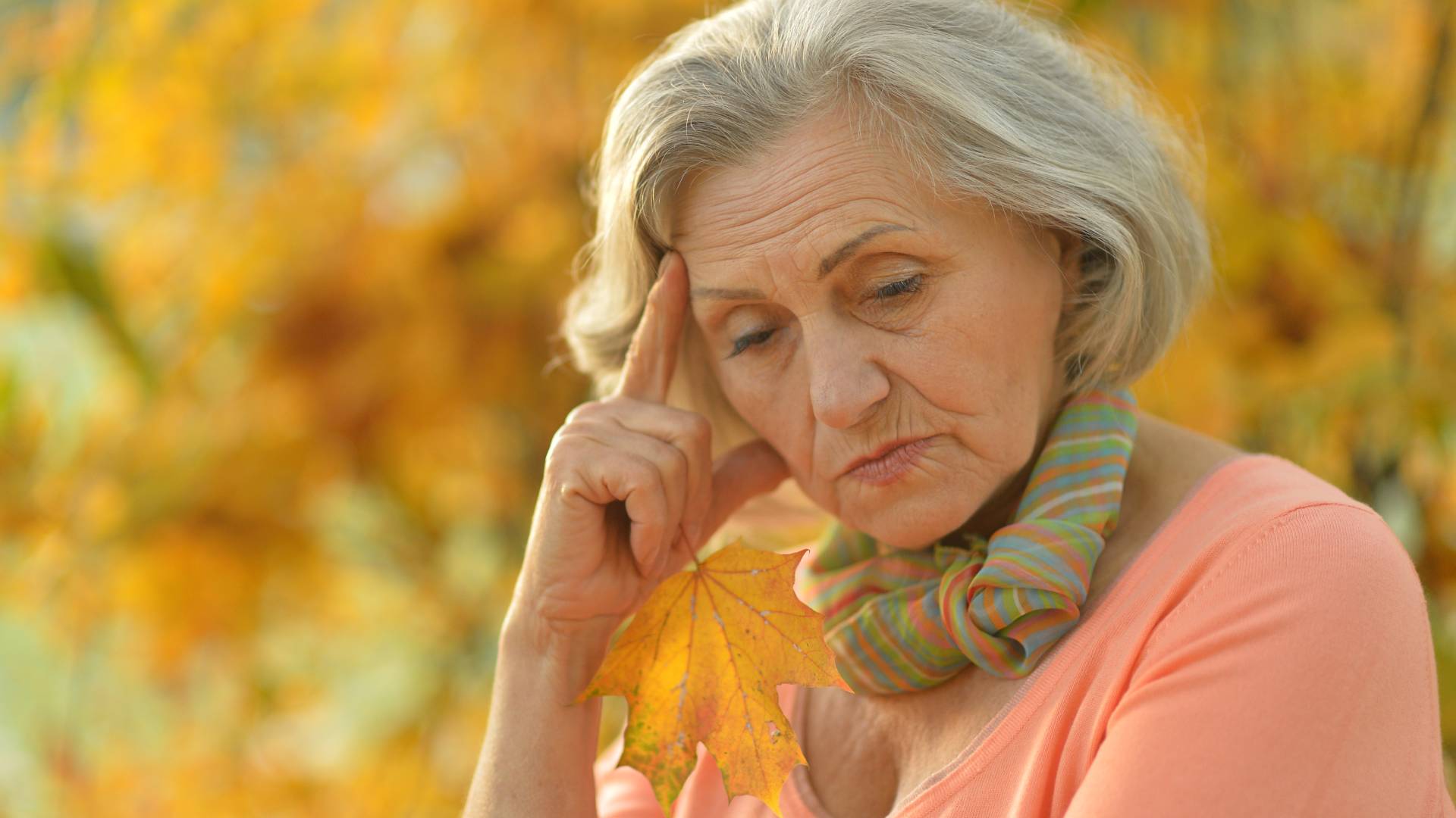 Gałązki krzewu różańcowego chronią przed pechem. Ale mają też inne właściwości GettyImages RuslanGuzov