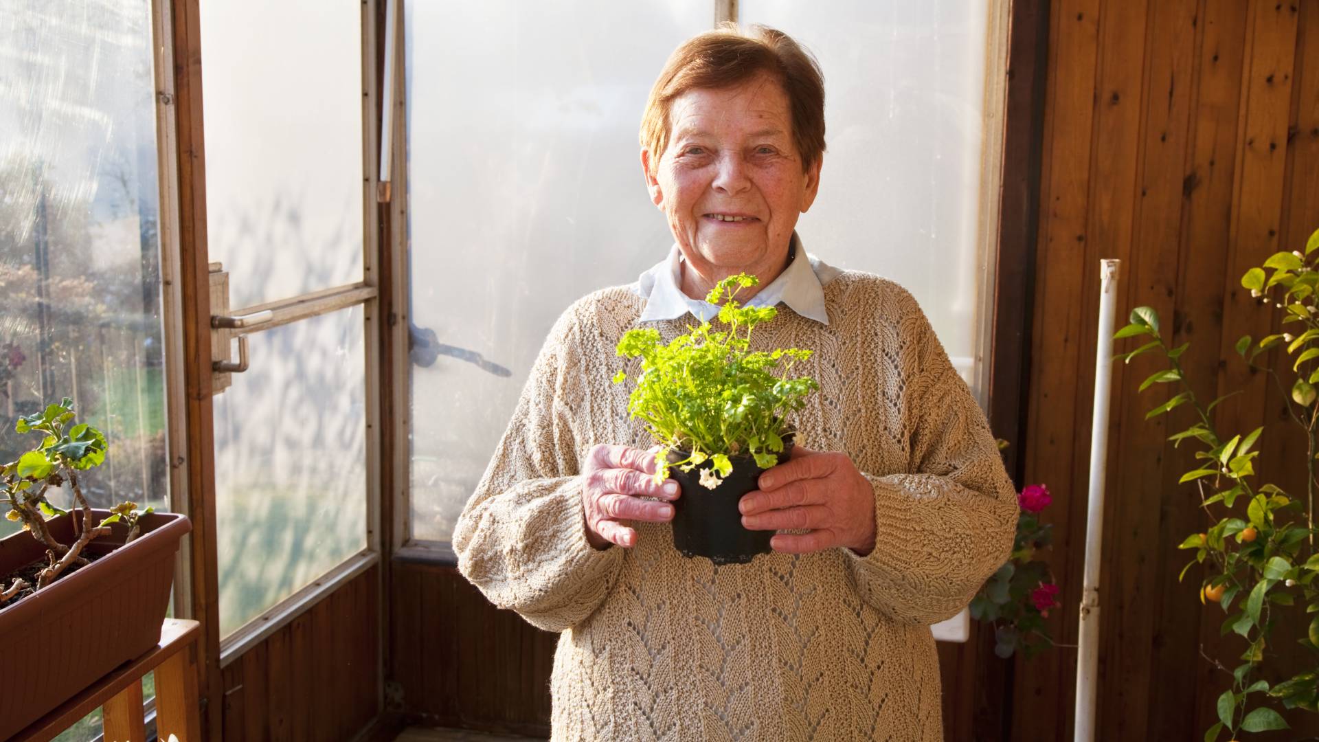 To popularne ziele przyciągnie do ciebie pieniądze i dobre wibracje. Ale jest 1 haczyk  GettyImages SilviaJansen