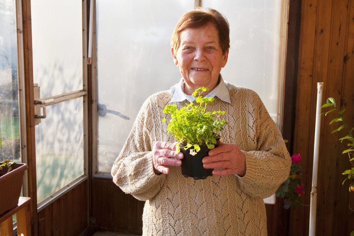 To popularne ziele przyciągnie do ciebie pieniądze i dobre wibracje. Ale jest 1 haczyk GettyImages SilviaJansen