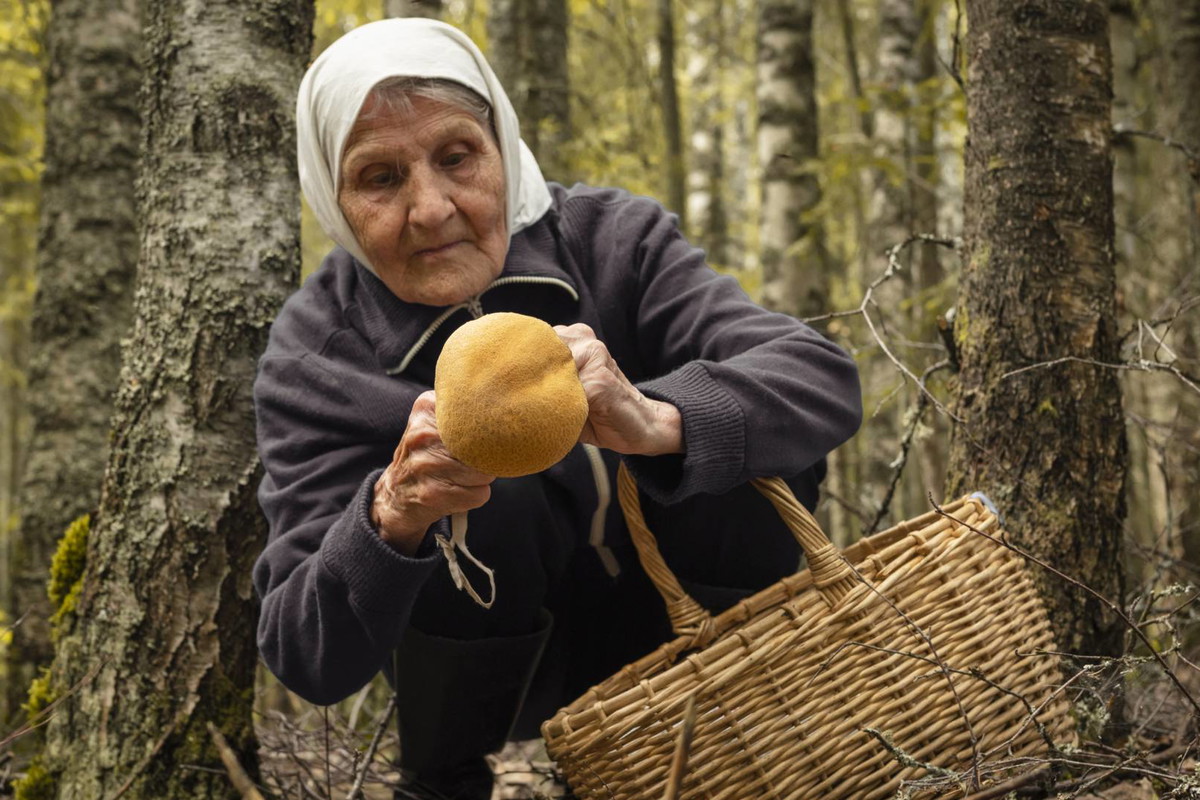 Babcia z Lubelszczyzny ostrzega nie wolno zbierać grzybów w pełnię księżyca. To grozi poważnymi konsekwencjami GettyImages Azovsky