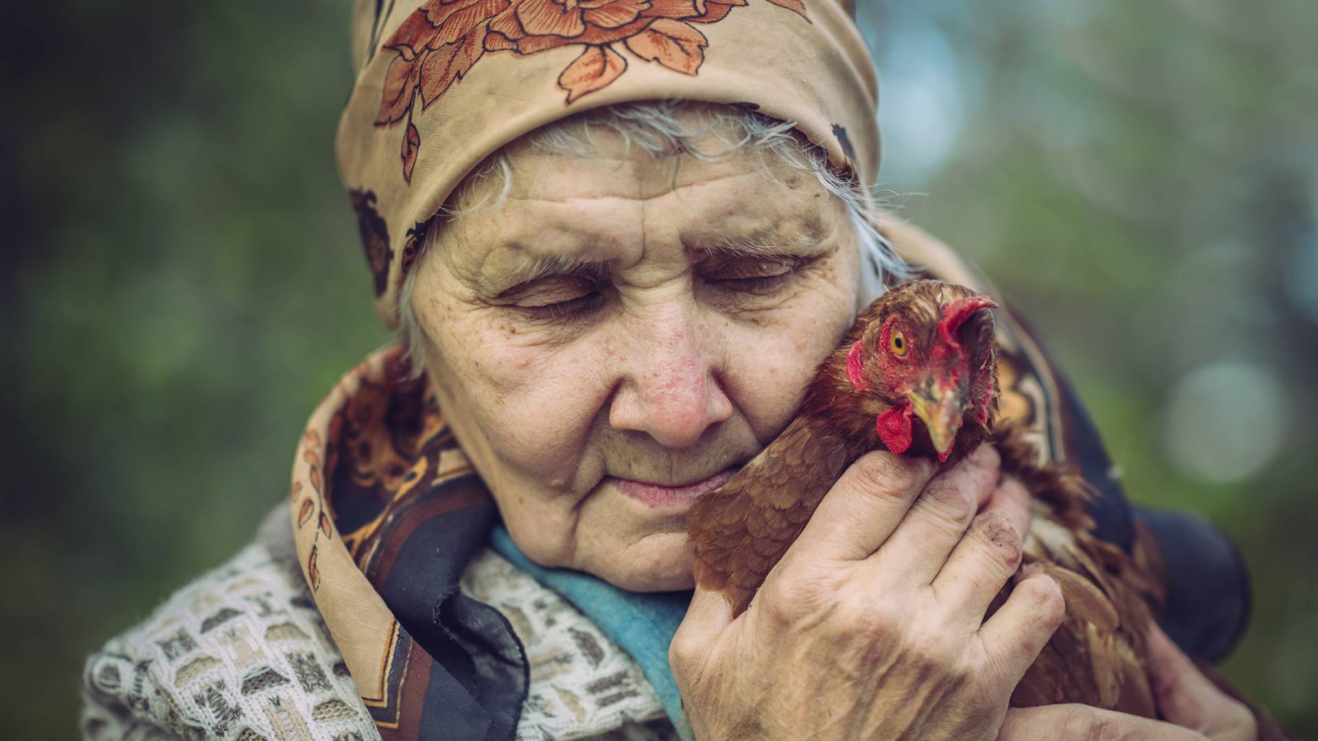 Łowicki kogucik przyciąga pieniądze i obfitość. Jest 1 sposób, by aktywować jego magiczne właściwości GettyImages ArtMarie