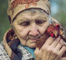 Łowicki kogucik przyciąga pieniądze i obfitość. Jest 1 sposób, by aktywować jego magiczne właściwości GettyImages ArtMarie