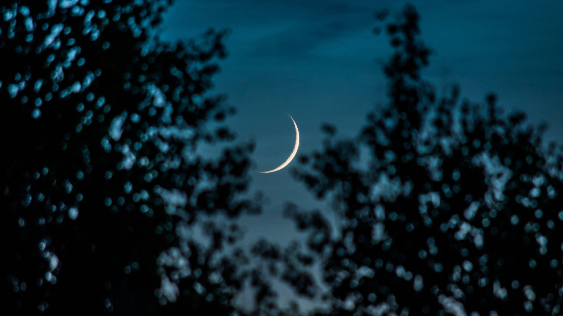 Horoskop na nów Księżyca w Wadze 14 października 2023