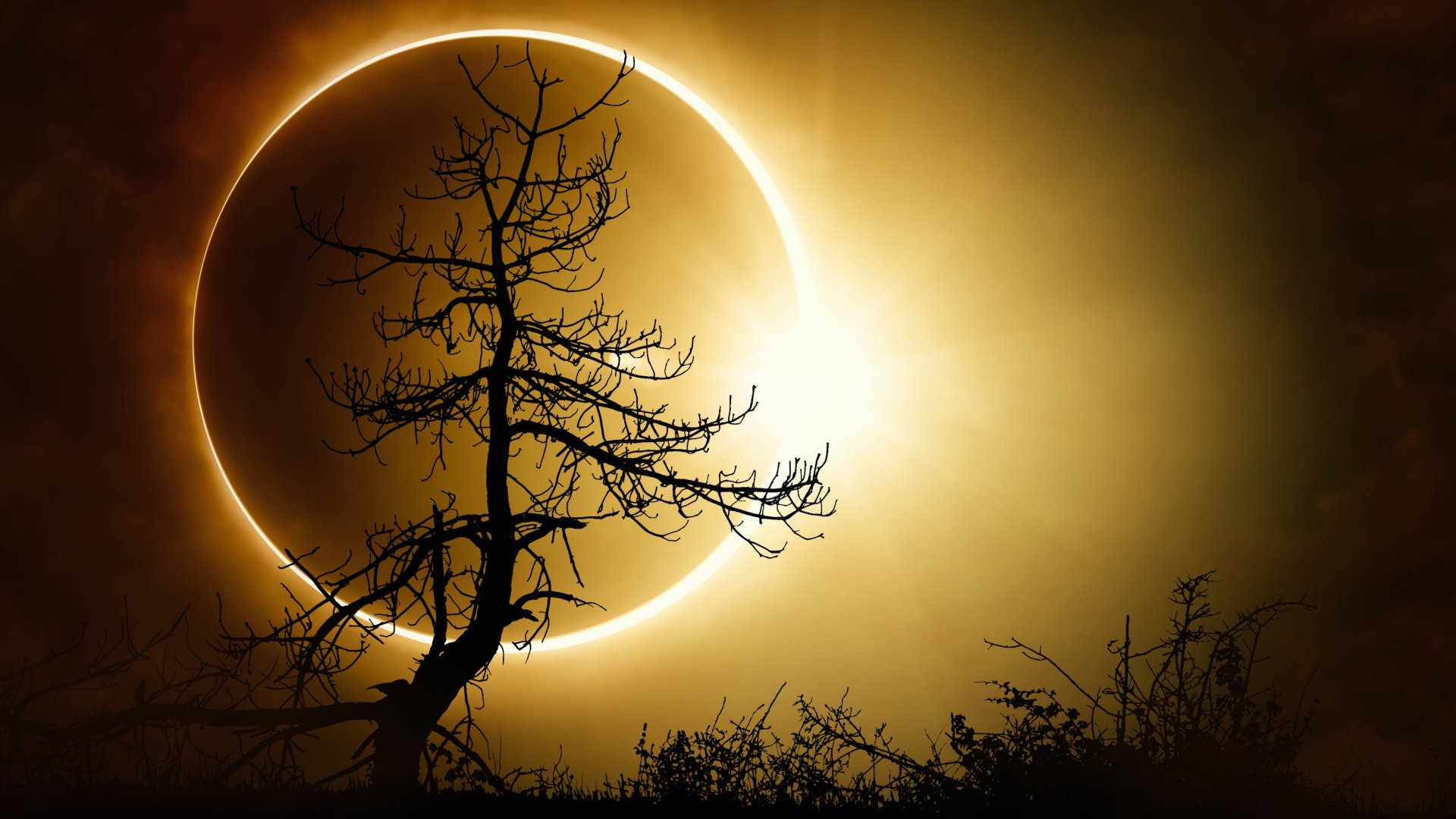 Obrączkowe zaćmienie Słońca 14 października. Następnym razem będzie widoczne za 23 lata