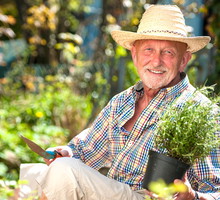 Ze starego notesu ogrodnika: pod żadnym pozorem nie rób tego 19 września. Inaczej pech murowany