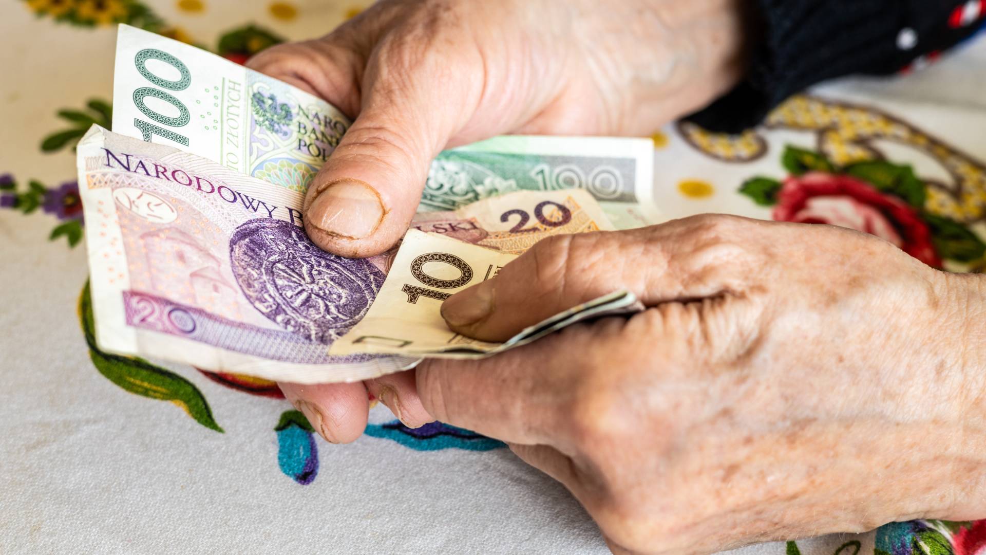 Niedojrzałe szyszki aktywują energię na pieniądze. Ale jest 1 mały haczyk GettyImages Andrzej Rostek