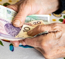 Niedojrzałe szyszki aktywują energię na pieniądze. Ale jest 1 mały haczyk GettyImages Andrzej Rostek