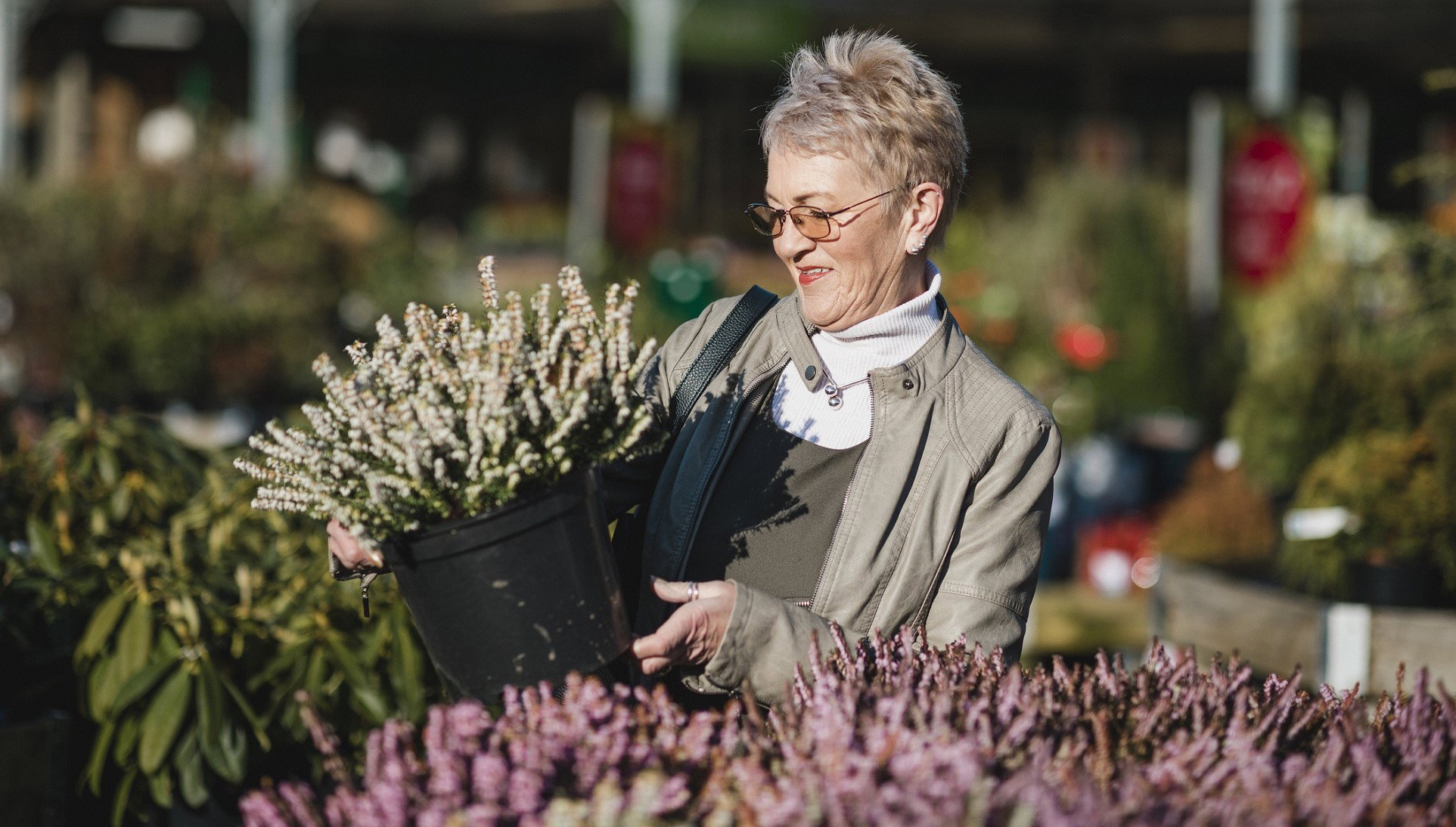 Uwielbiane przez Polaków kwiaty są pechowe poza 1 wyjątkiem. Ten kolor przyciąga szczęście i pieniądze