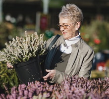 Uwielbiane przez Polaków kwiaty są pechowe poza 1 wyjątkiem. Ten kolor przyciąga szczęście i pieniądze