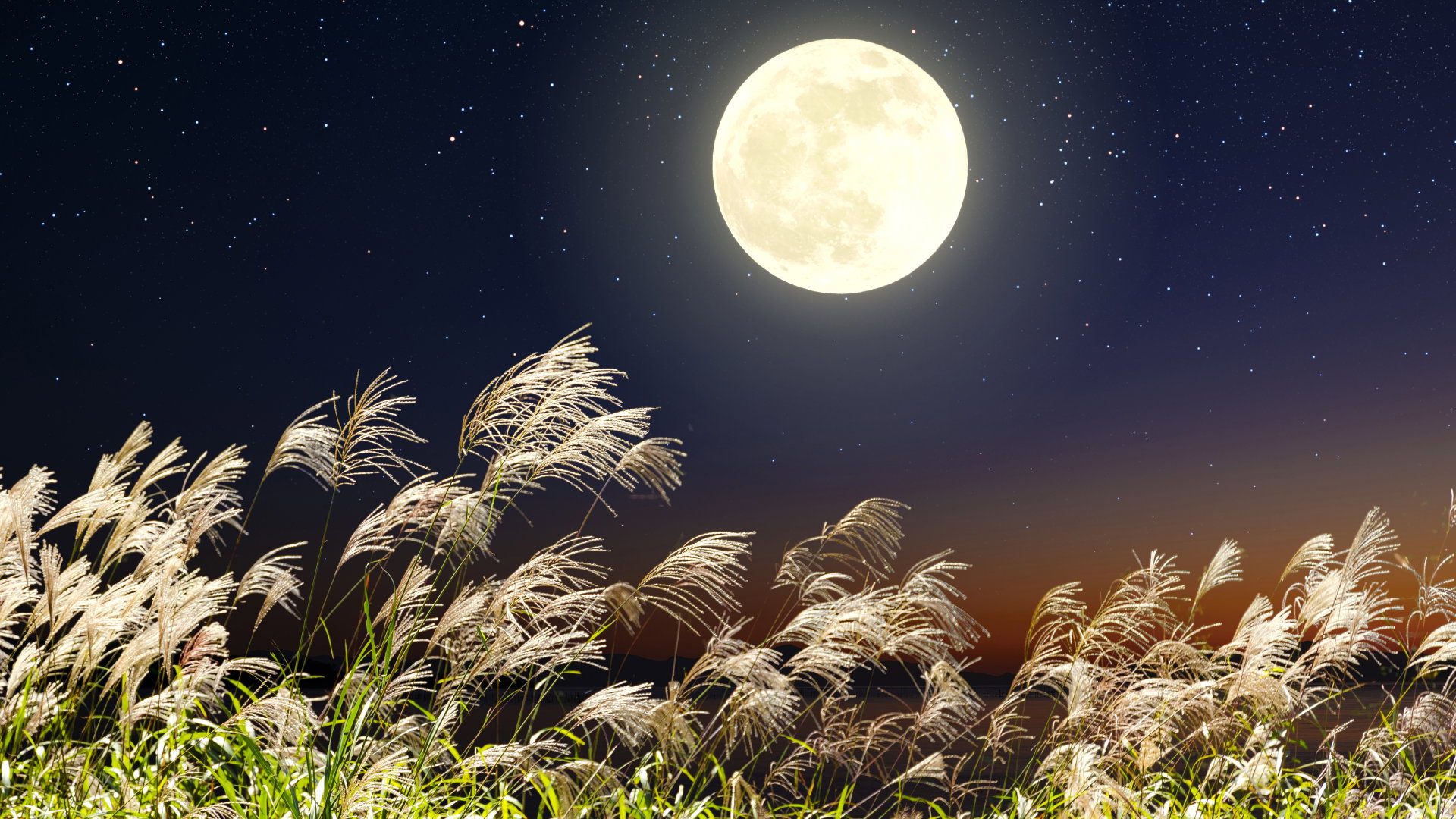 Prognoza astrologiczna 25 września-1 października 2023