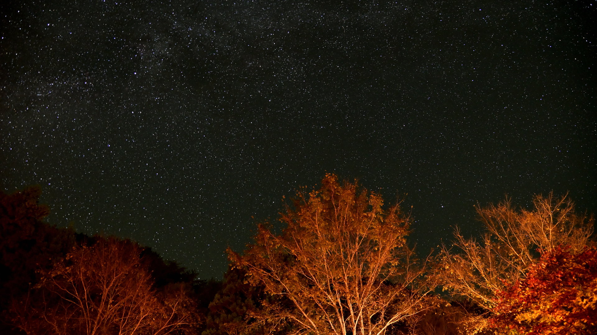 Tygodniowa prognoza astrologiczna 2-8 października 2023