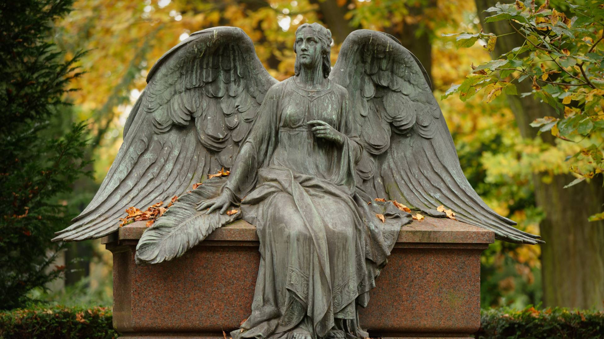 Karty anielskie na październik 2023 GettyImages Gerd Harder