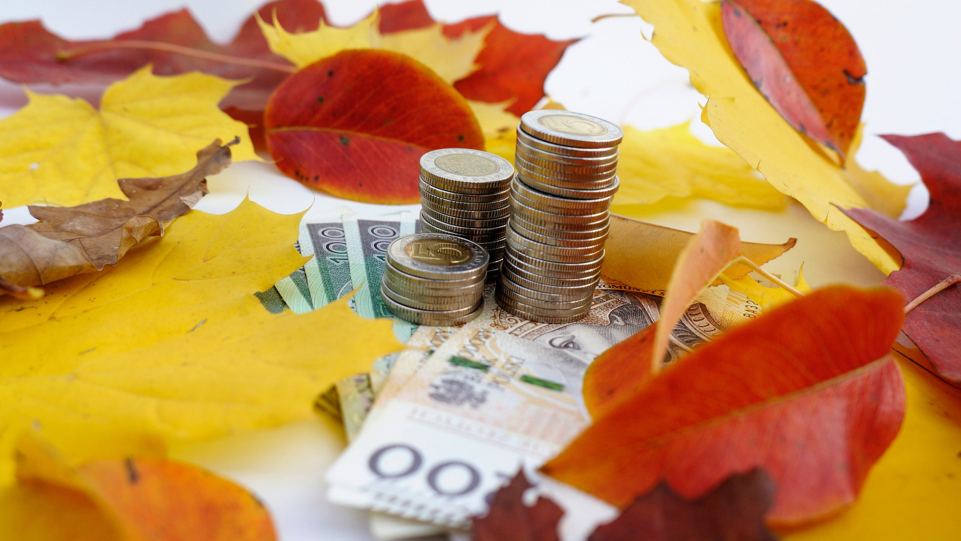 Ten jesienny symbol przyciągnie do ciebie pieniądze. Musisz zrobić tylko 1 rzecz