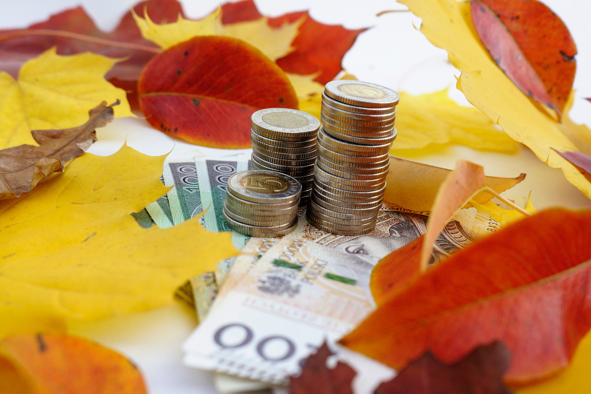 Ten jesienny symbol przyciągnie do ciebie pieniądze. Musisz zrobić tylko 1 rzecz