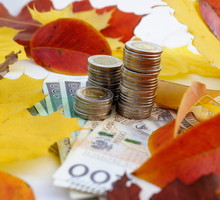 Ten jesienny symbol przyciągnie do ciebie pieniądze. Musisz zrobić tylko 1 rzecz