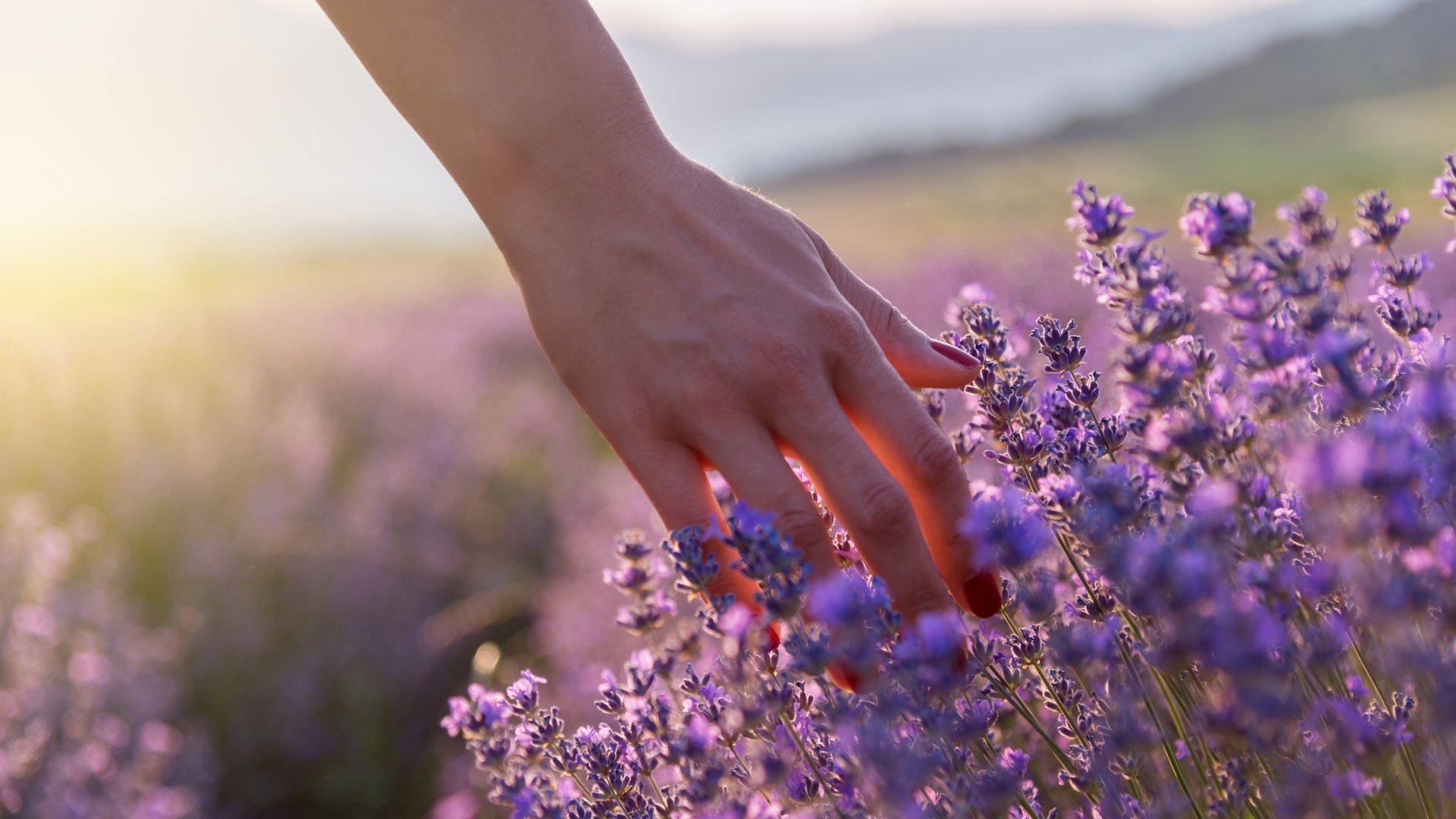 Zrób to do 15 września, a los będzie ci sprzyjał. Szczęście nie opuści cię do końca roku