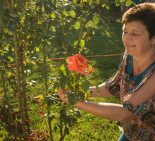 Rytuał Herbacianej Róży na powodzenie w miłości. Zajmie ci 3 minuty, a efekty przyjdą natychmiast