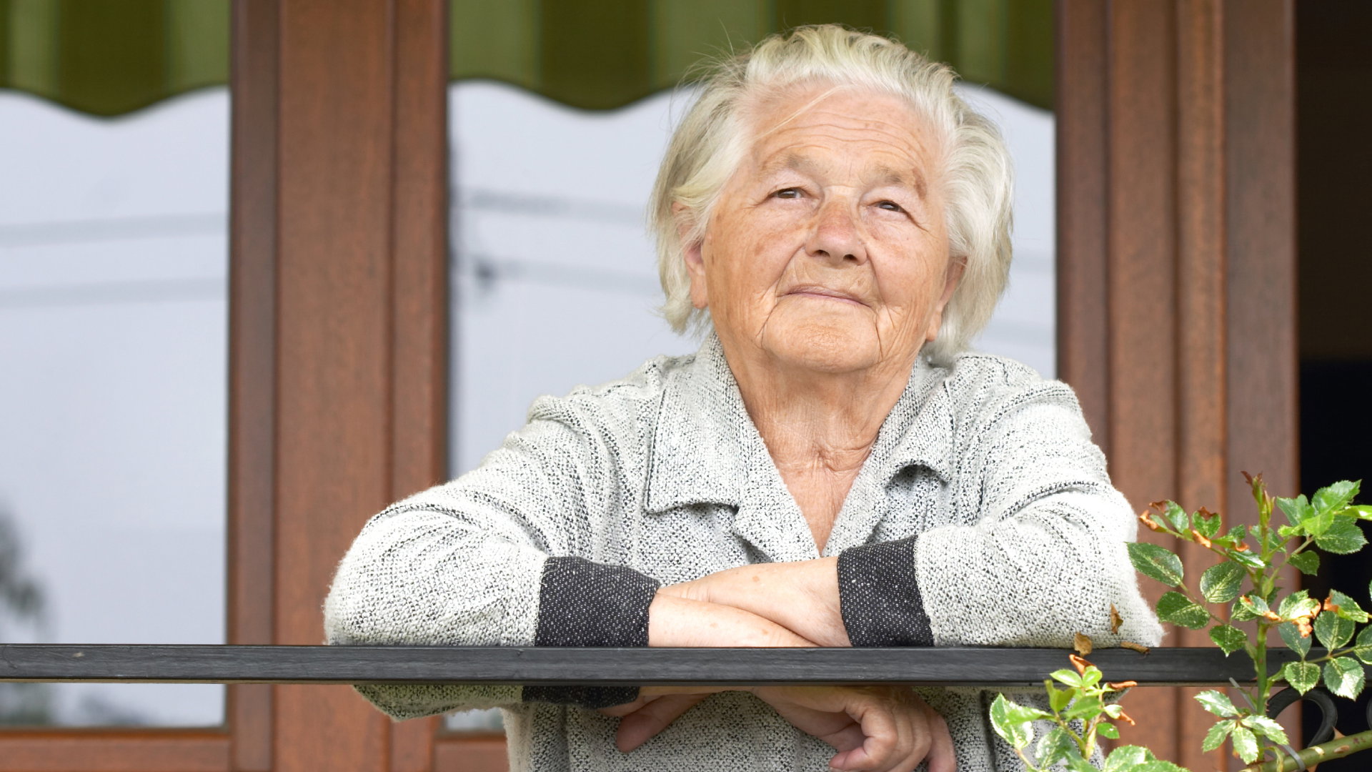 Babcia z Kaszub zdradza: ta roślina przyciąga miłość i pieniądze. Musisz zrobić tylko 1 rzecz