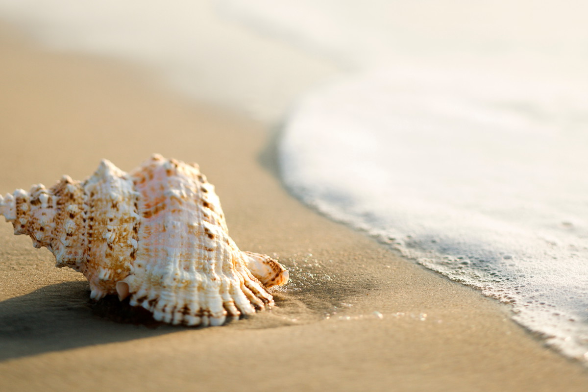 Zakop tę 1 rzecz do końca sierpnia. Reszta roku będzie obfitować w miłość i pieniądze