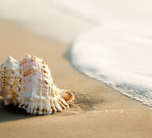 Zakop tę 1 rzecz do końca sierpnia. Reszta roku będzie obfitować w miłość i pieniądze