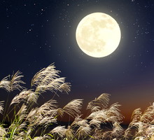 Wielki horoskop na Superpełnię Księżyca 30 sierpnia 2023