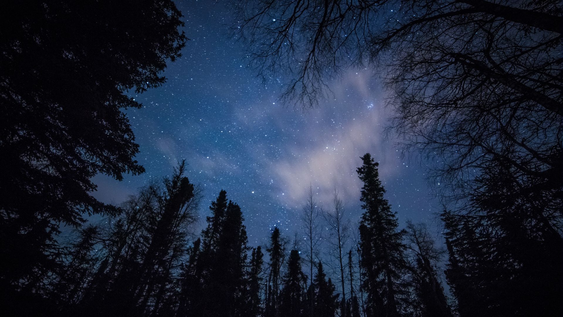 Nów Księżyca wpływ na człowieka