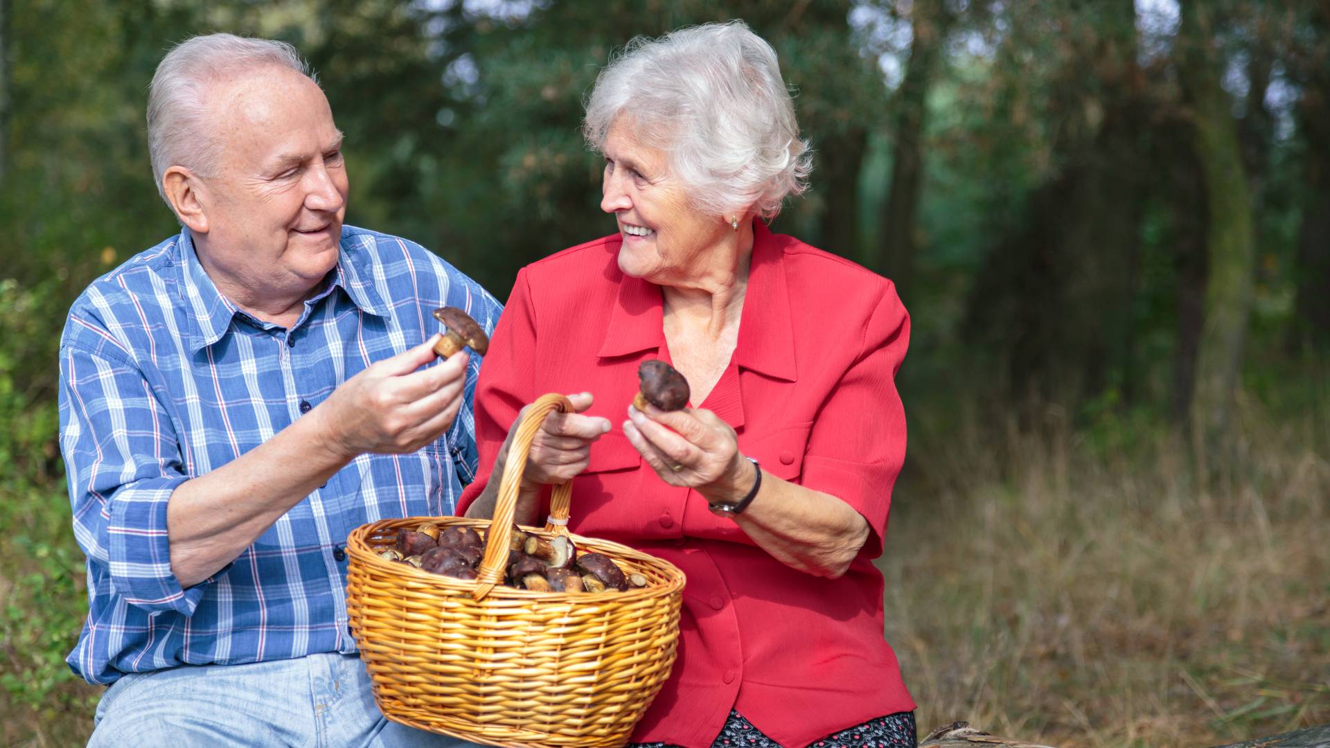 Horoskop dla grzybiarzy na jesień 2023