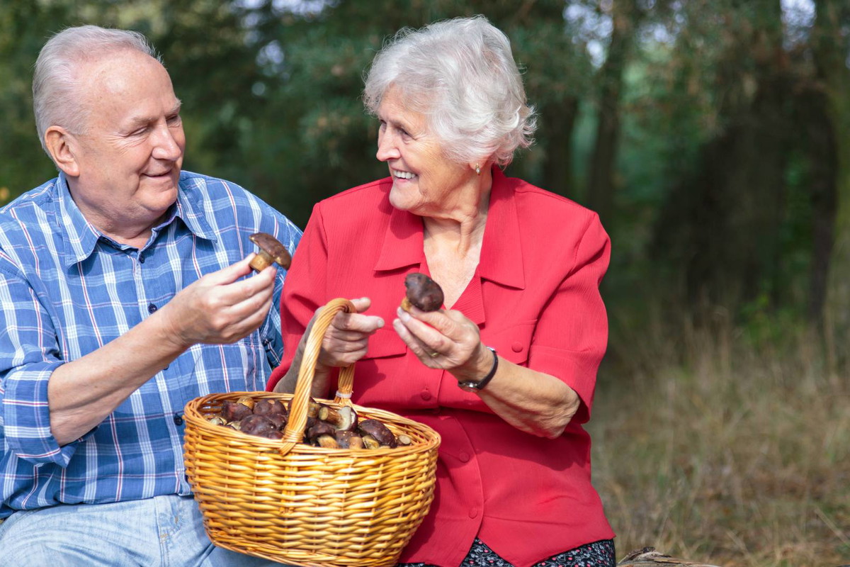 Horoskop dla grzybiarzy na jesień 2023